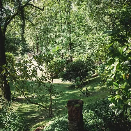 Corte Di Cavne' Chalet Miazzina