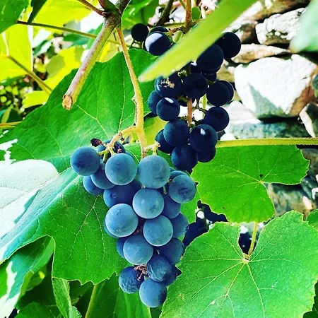 Chalet Corte Di Cavne'