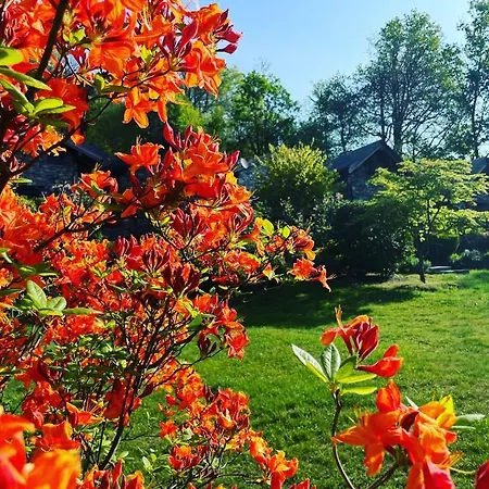 Corte Di Cavne' Chalet Miazzina