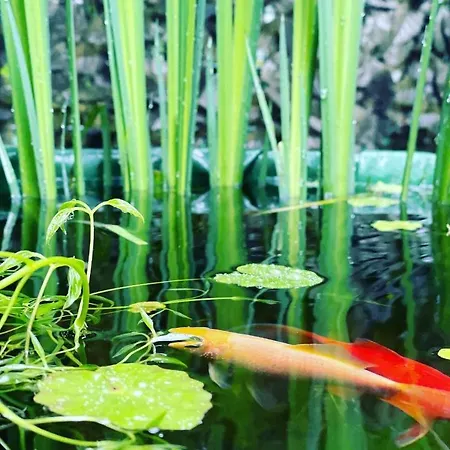 Chalet Corte Di Cavne'