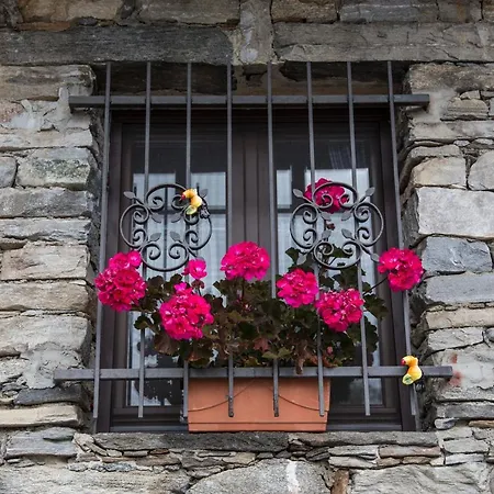 Chalet Corte Di Cavne' Miazzina